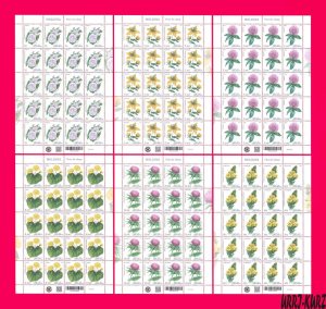 MOLDOVA 2024 Flora Plants Wild Flowers 6 m-s MNH