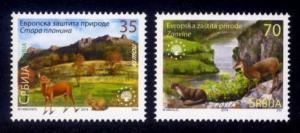 Serbia Sc# 663-4 MNH European Nature Protection 2014