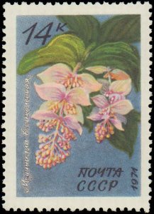 Russia #3924-3928, Complete Set(5), 1971, Flowers, Never Hinged