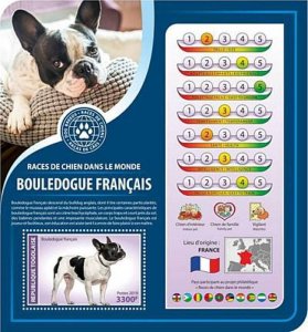 Togo - 2019 French Bulldog World Dog Breeds Stamp Sheet TG190343b