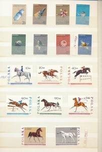 Poland 1966/67 Sport Art Birds Space Horses MNH (Appx 70+Stamps) (KR 485