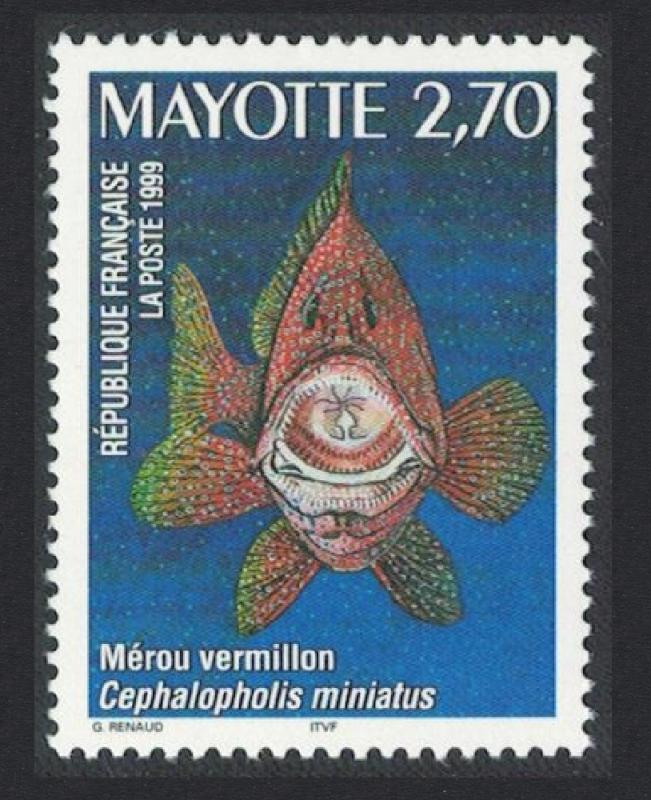 Mayotte Coral Hind Lagoon Fish 1v SG#88