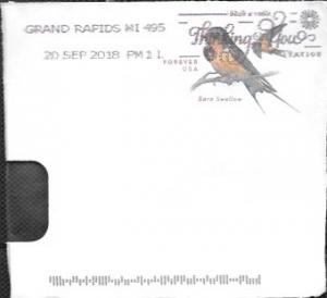 US Preprinted stamped envelope corner.  Barn Swallow