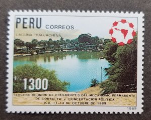 *FREE SHIP Peru Laguna Huacachina Lake 1989 President Meeting (stamp) MNH