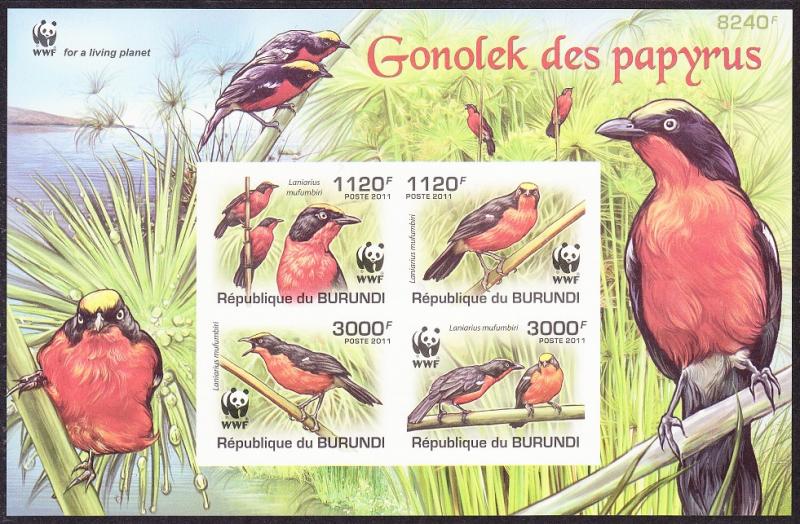 Burundi Birds WWF Papyrus Gonolek MS variety - lighter colour imperf