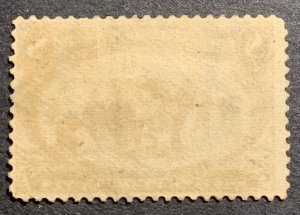 #289 – 1898 8c Trans-Mississippi Exposition.  Used Average.