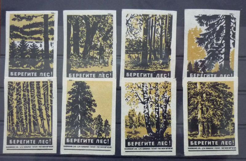 Match Box Labels! flora flower flowers nature russia russland sssr GJ18