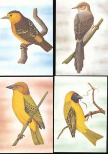 ST THOMAS & Prince Is 1983 BIRDS Wildlife Cards Maxi Unused (22 Items) [D328]