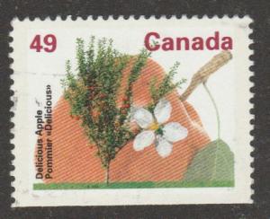 1364a   delicious apple