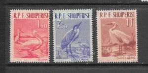 BIRDS - ALBANIA #592-7 (SET 2) MNH