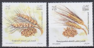 Algeria/Algerije - Postfris/MNH - Complete set Harvests 2025