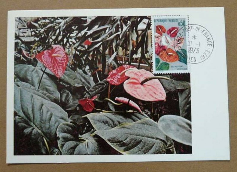 flower anthurium maximum card Martinique 1973