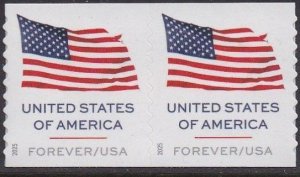 6017 Flag Coil Pair MNH