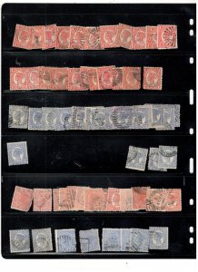 VICTORIA SPECIALIZED COLLECTION