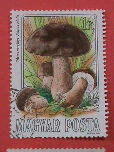 HUNGARY STAMP: COLORFUL BEAUTIFUL LOVELY MUSHROOM USED STAMPS SET.LARGE STAMPS.