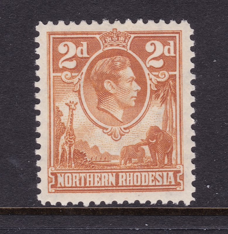 Northern Rhodesia the scarce KGVI 2d orange MLH