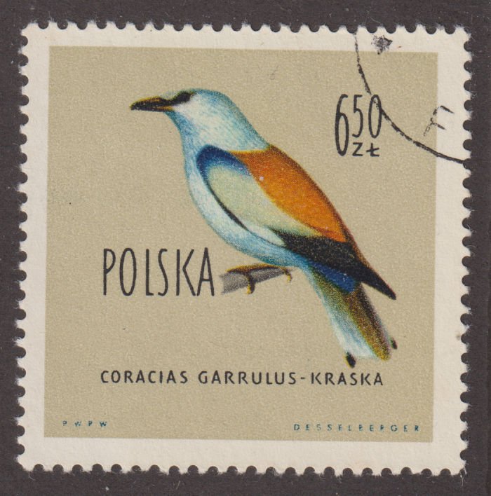 Poland 946 European Roller 1960