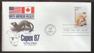 US Ferret 1987 Artmaster U/A FDC BIN 19636