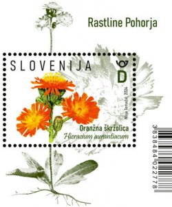 Slovenia 2024 MNH Stamps Souvenir Sheet Flowers