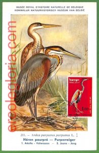 32903 - ISRAEL - MAXIMUM CARD - 1963 - FAUNA, BIRDS-