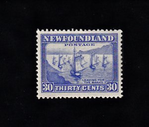Newfoundland Scott #198 MH
