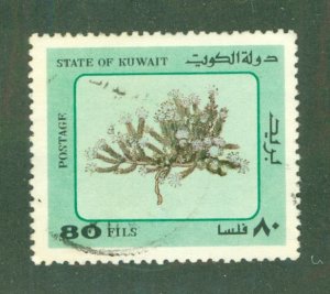 KUWAIT 907g USED CV4 1.10 BIN $0.50