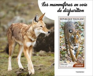 Togo - 2022 Endangered Mammals - Stamp Souvenir Sheet - TG220223b1