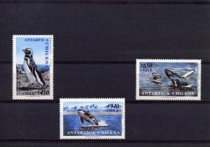 Chile 2000 Sc#1340/1342  Antarctic Fauna Set (3) Perforated MNH