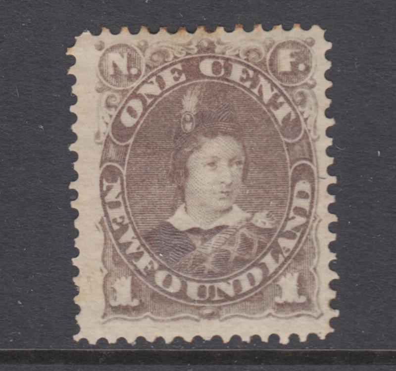 Newfoundland Sc 42 MLH. 1880 1c gray brown Prince Albert, sound