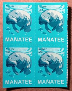 United States #5851 (68c) Manatee MNH block of 4 (2024)