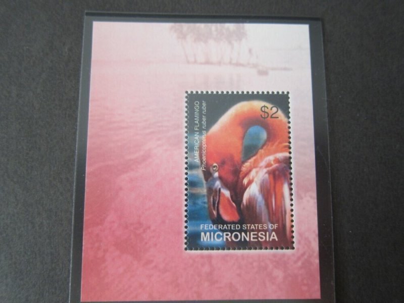 Micronesia 2003 Sc 576 Bird set MNH