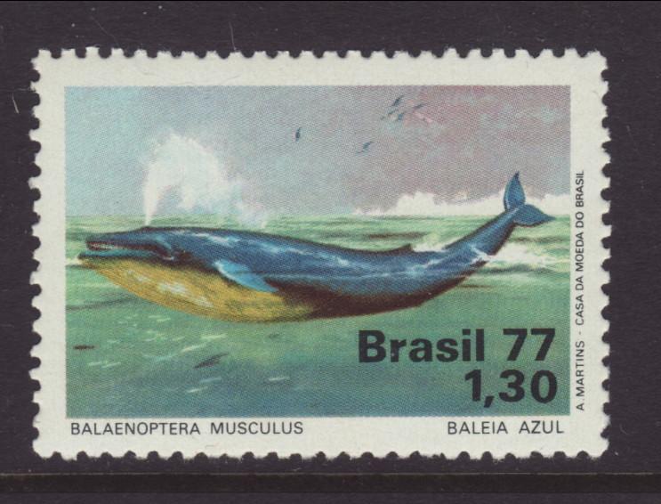 Brazil 1570 Whale MNH VF