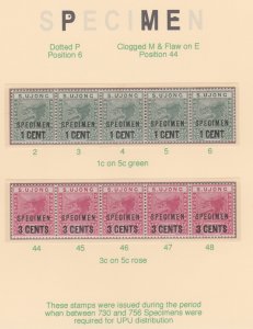 MALAYA - SUNGEI UJONG  1894 TIGER SPECIMEN  strips of 5