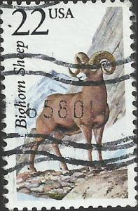 # 2288 USED BIGHORN SHEEP