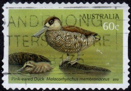 Australia 3667 - Used - 60c Pink-eared Duck (Sync. DC) (2012)