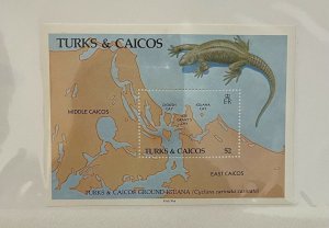 Souvenir Sheet Turks & Caicos Islands Scott #714  nh