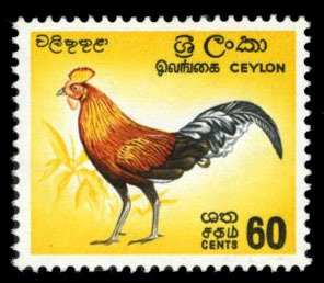 Ceylon #377a (SG 494b) Cat£45, 1964 60c Jungle Fowl, red and blue omitted, l...