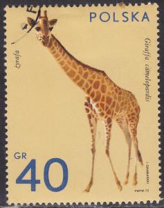 Poland 1889 Giraffe Wild Game 40GR 1972