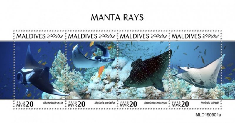 MALDIVES - 2019 - Manta Rays - Perf 4v Sheet - MNH