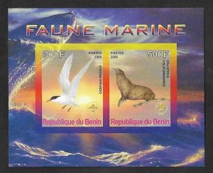 SD)2008 BENIN MARINE FAUNA, COMMON TERN & CALIFORNIA SEALION,