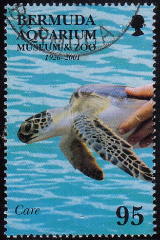 Bermuda 2001 used Sc #817 95c Turtle Aquarium, Museum, Zoo 75th anniversary