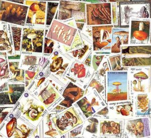 Mushrooms on Stamps Collection - 200 Different Stamps