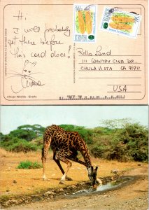 Kenya Uganda & Tanganyika, Picture Postcards, Food