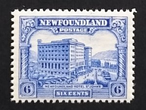 Newfoundland 177 F-VF MNH