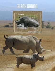 Sierra Leone - 2019 Black Rhinoceros - Stamp Souvenir Sheet - SRL190606b