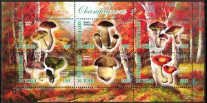 Chad 2012 Mushrooms (1) MNH Cinderella !