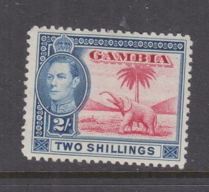 GAMBIA, 1938 KGVI, Elephant, 2s. Carmine & Blue, lhm.