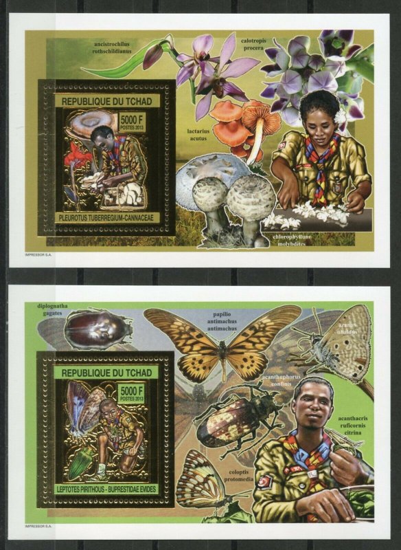 CHAD - SCOUTS MUSHROOMS AND FLOWERS (GOLD STAMPS)  2013  S207 