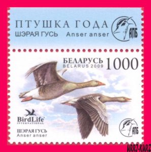 BELARUS 2009 Nature Fauna Bird of Year Goose 1v Sc691 Mi762 MNH