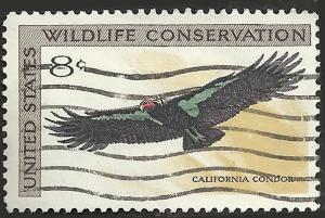 # 1430 USED CALIFORNIA CONDOR